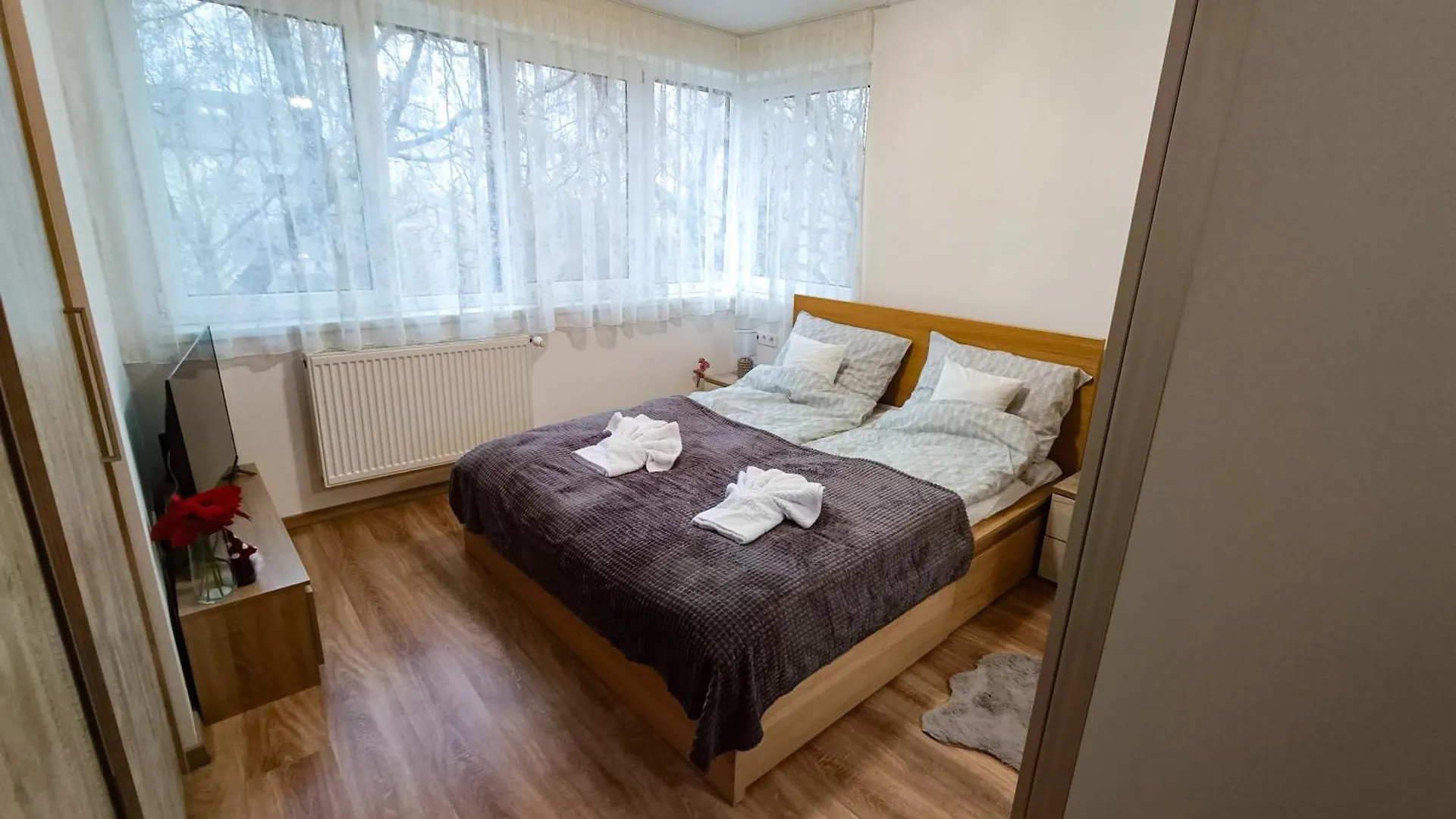 Apartment Debreczeni Apartman Debrecen Hungary